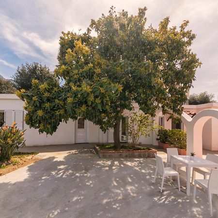 Casa Yucca Villa Forio di Ischia Exteriör bild