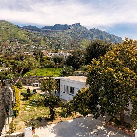 Casa Yucca Villa Forio di Ischia Exteriör bild