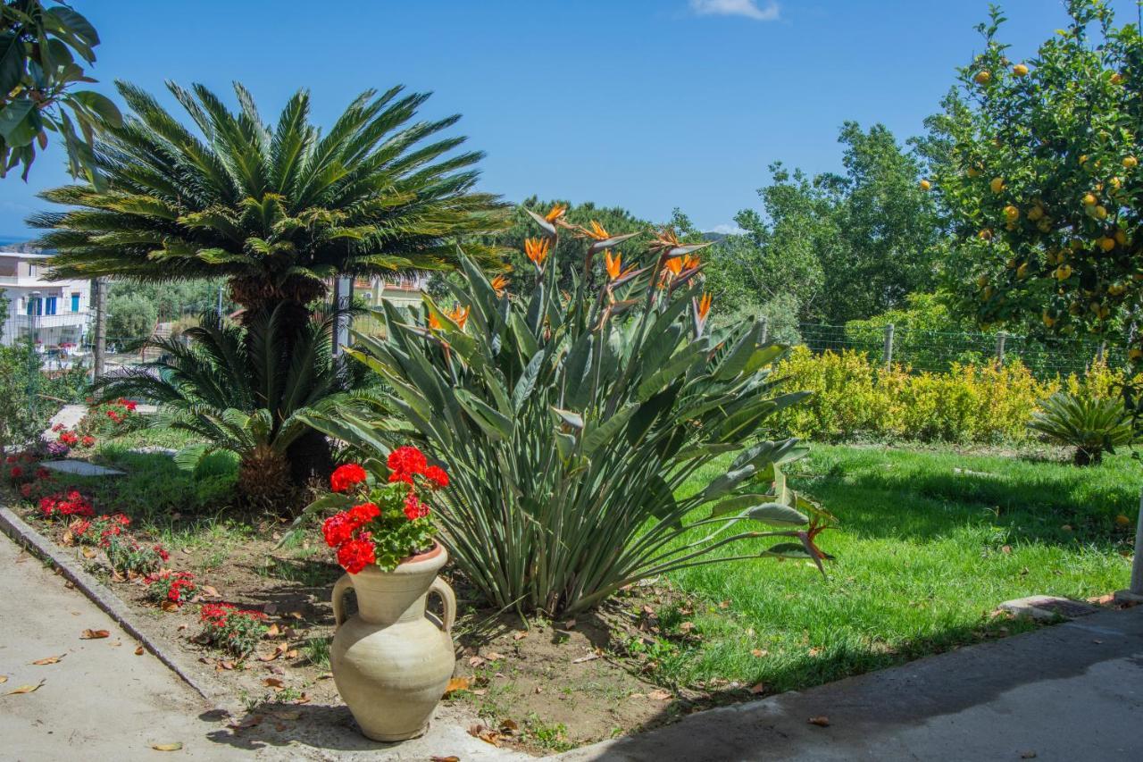 Casa Yucca Villa Forio di Ischia Exteriör bild