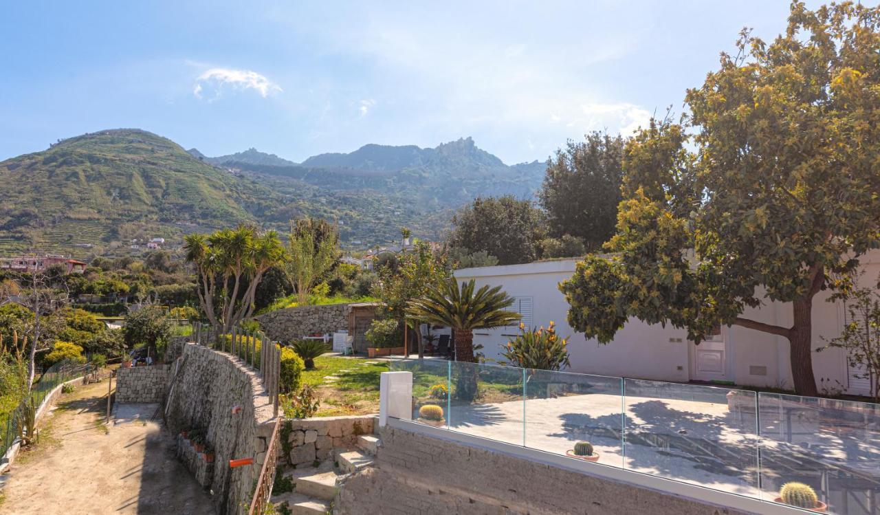 Casa Yucca Villa Forio di Ischia Exteriör bild