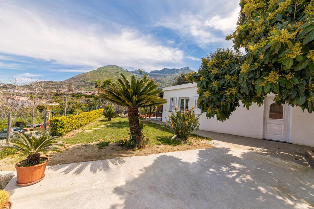 Casa Yucca Villa Forio di Ischia Exteriör bild