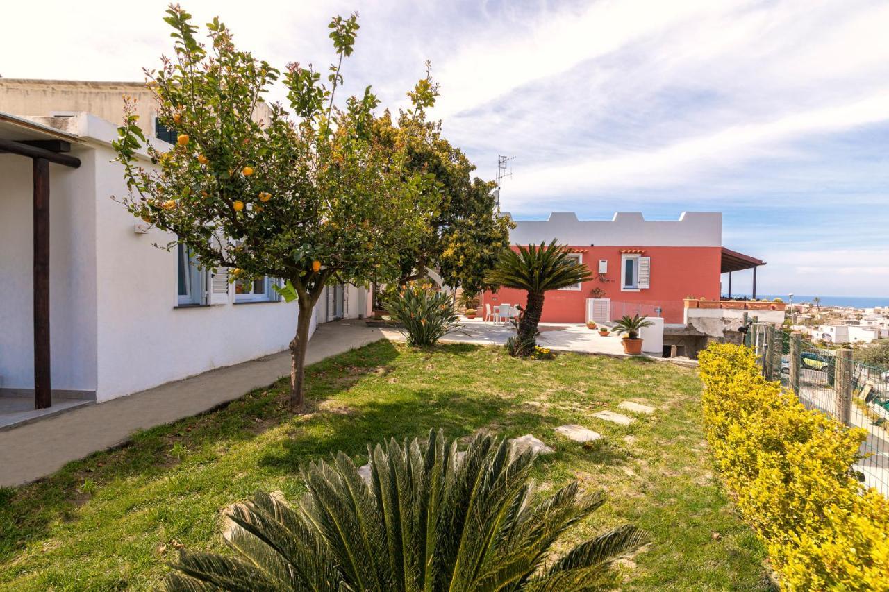 Casa Yucca Villa Forio di Ischia Exteriör bild