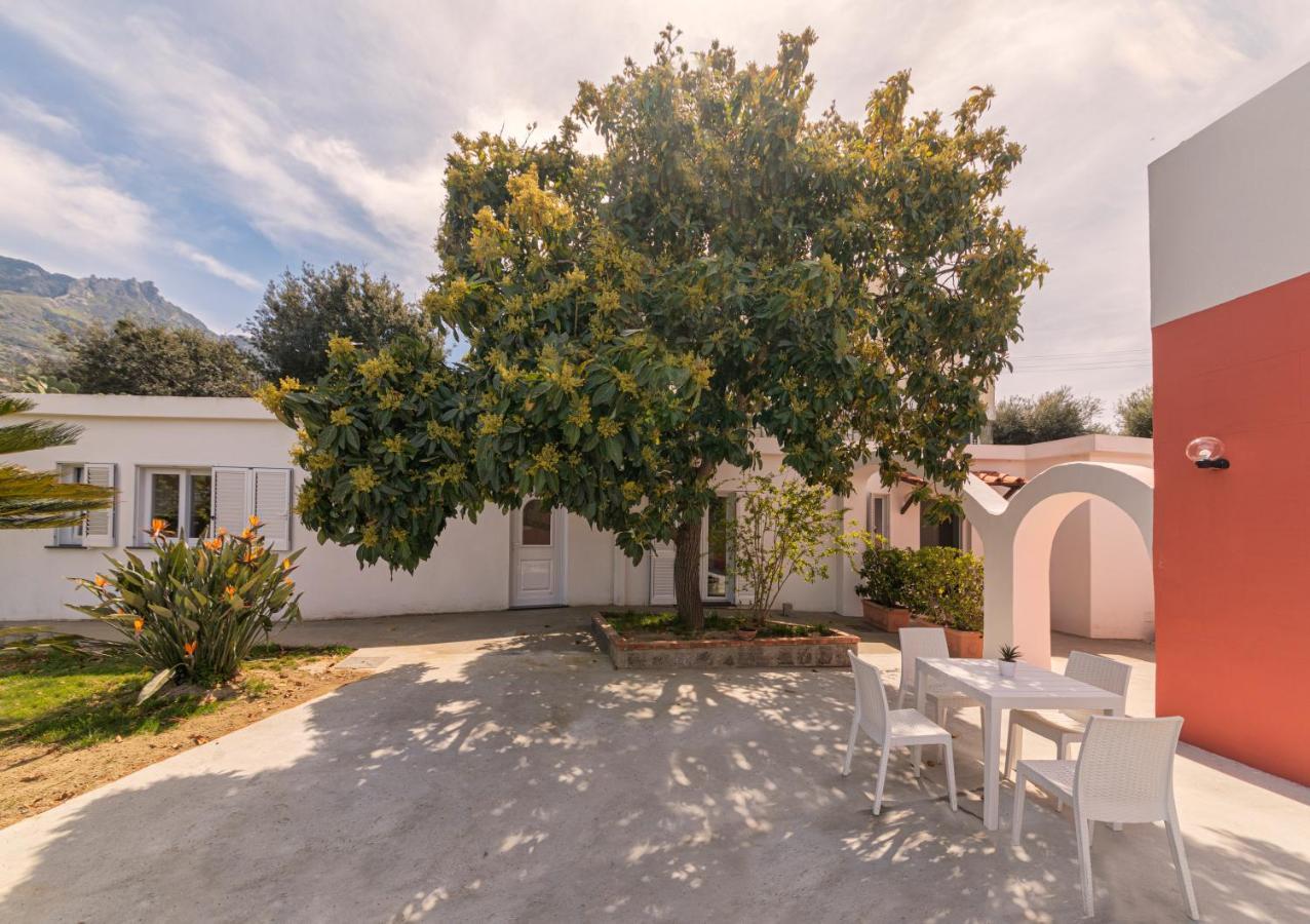 Casa Yucca Villa Forio di Ischia Exteriör bild