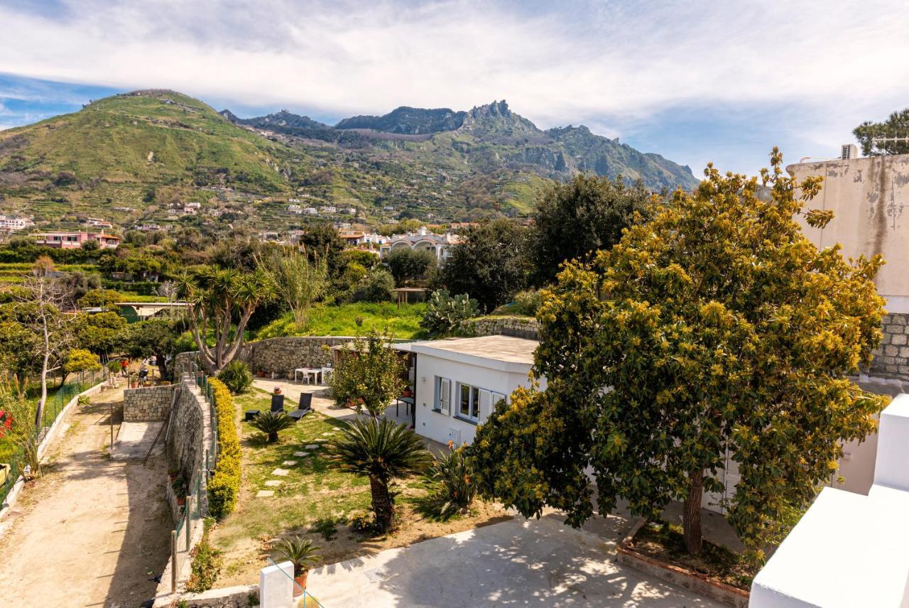 Casa Yucca Villa Forio di Ischia Exteriör bild
